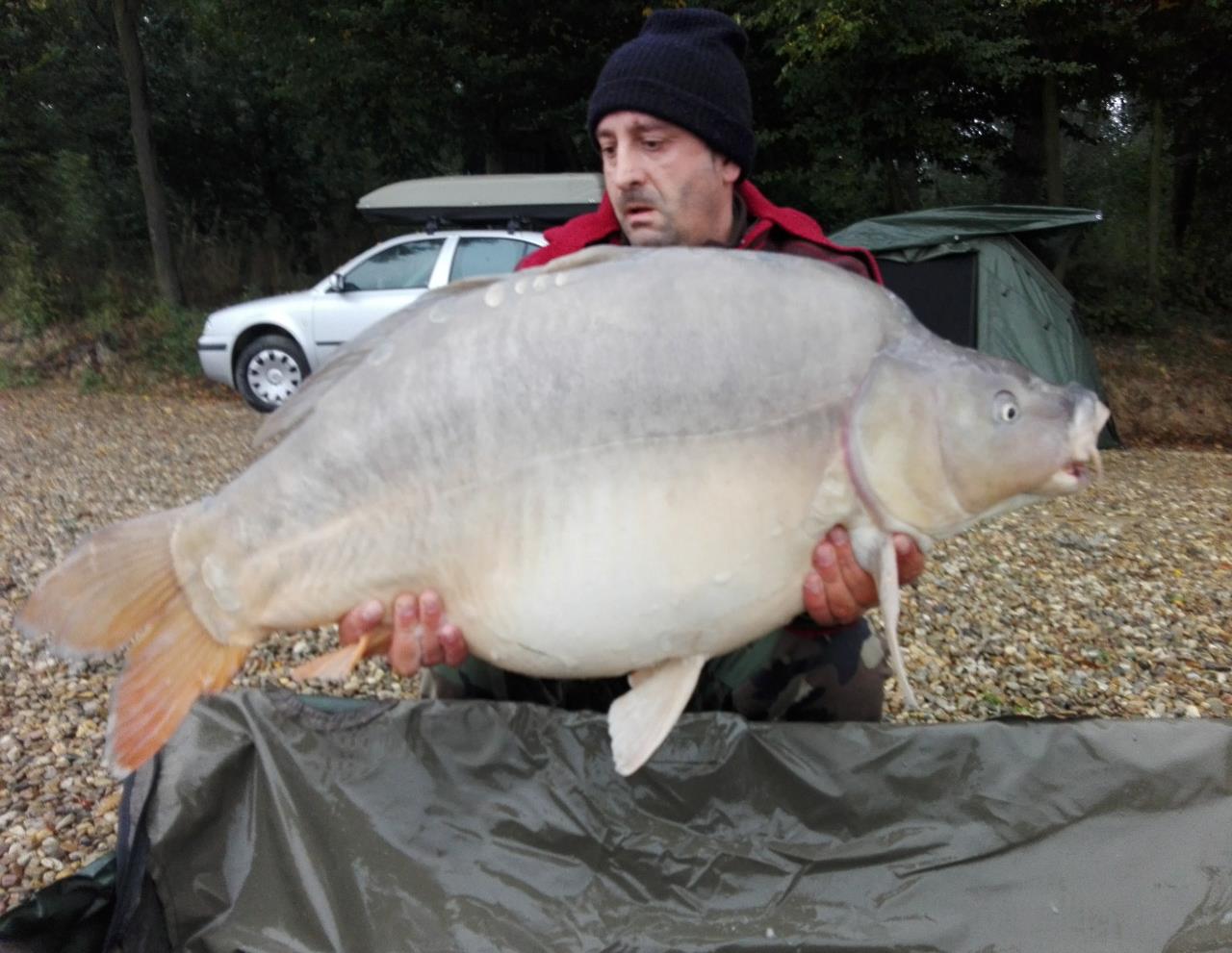 1-5 Octombrie Cetariu - img1475473142532.jpg